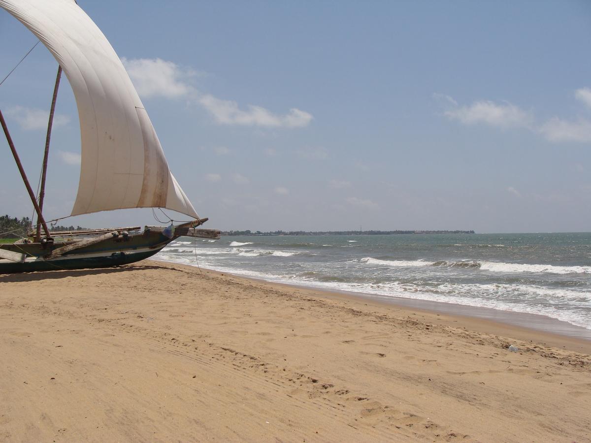 The Icebear Guesthouse Negombo Dış mekan fotoğraf