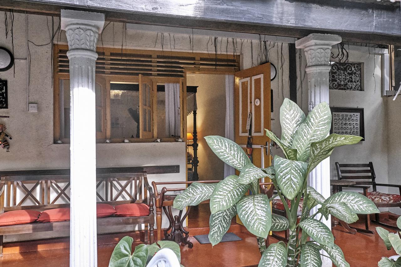 The Icebear Guesthouse Negombo Dış mekan fotoğraf