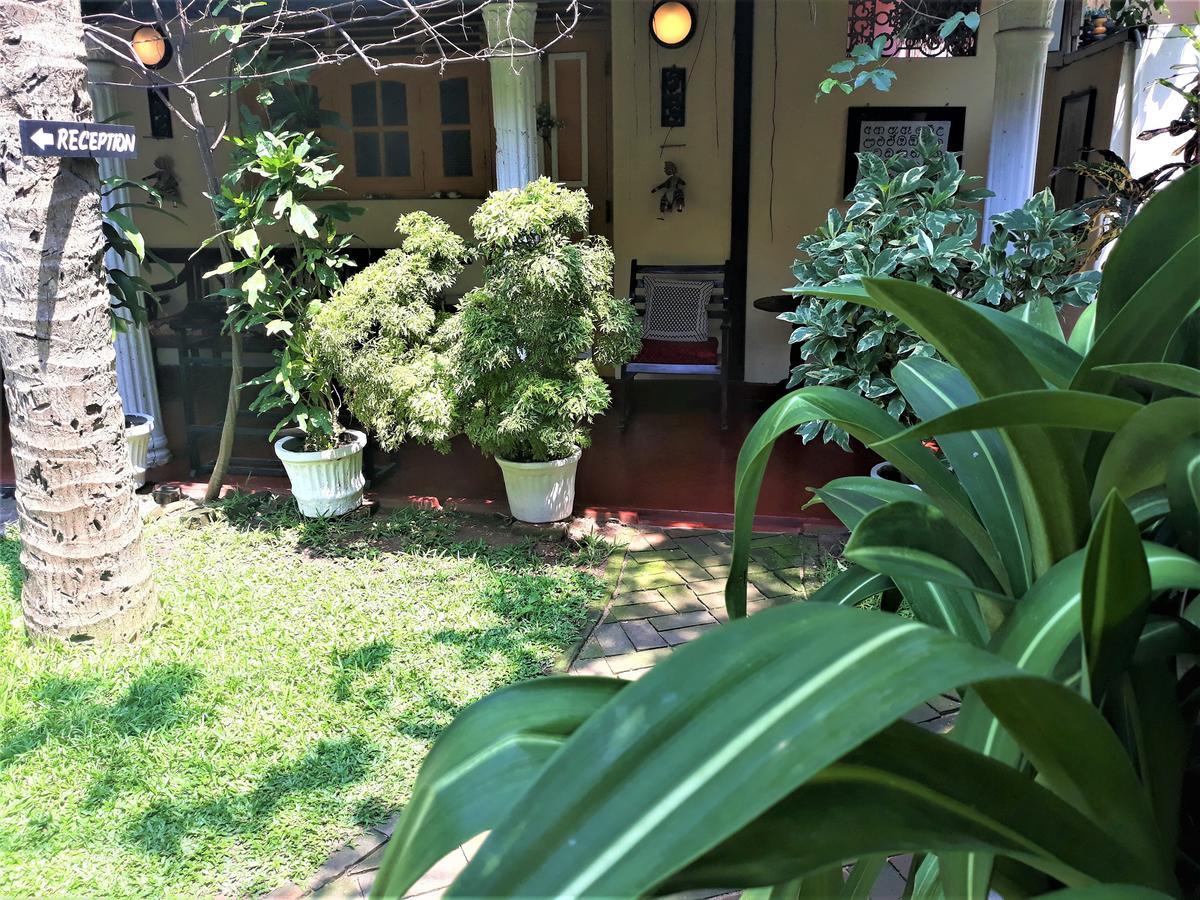 The Icebear Guesthouse Negombo Dış mekan fotoğraf