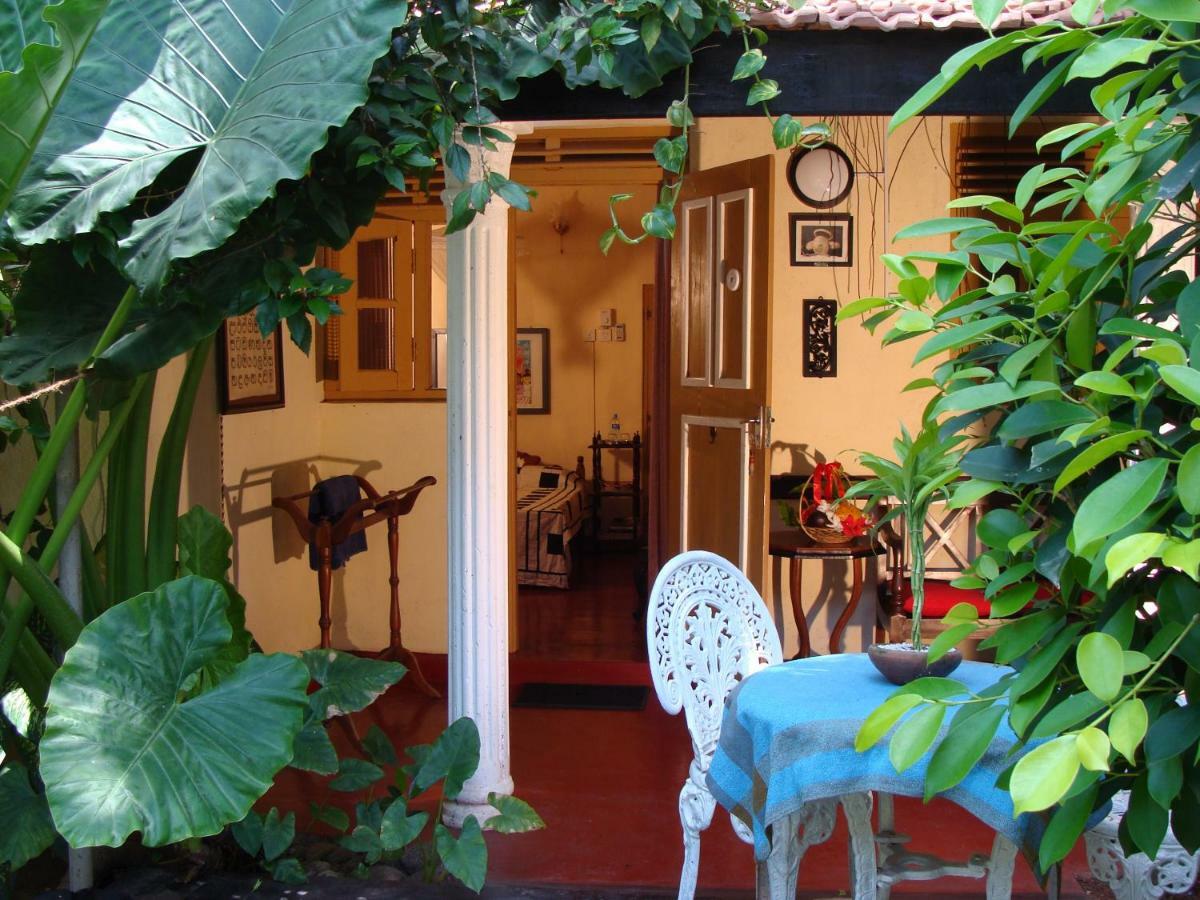 The Icebear Guesthouse Negombo Dış mekan fotoğraf